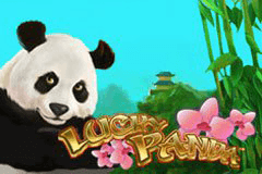 Lucky Panda slot