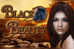 Black Beauty slot