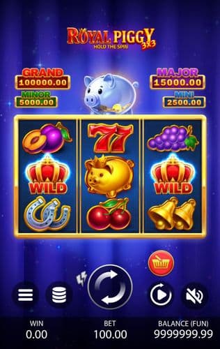 3x3 Royal Piggy: Hold The Spin screenshot 1