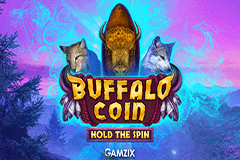 Buffalo Coin slot