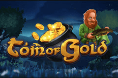 T'oin of Coin slot
