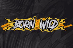 Born Wild slot