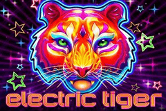 Electric Tiger slot