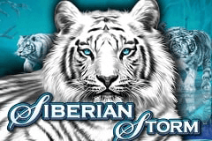Siberian Storm slot