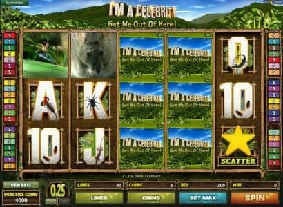 Main game board featuring five reels and 40 paylines with a $1,000 max payout