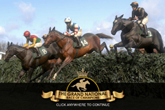 The Grand National slot