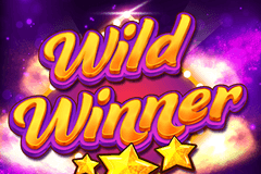 Wild Winner slot