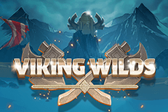 Viking Wilds slot
