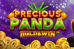 Precious Panda Hold & Win slot