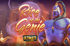 Rise of the Genie slot