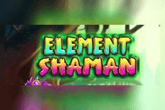 Element Shaman slot