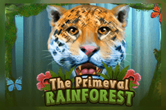 The primeval Rainforest slot