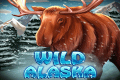 Wild Alaska slot