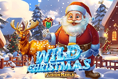Wild Christmas Fusion Reels slot