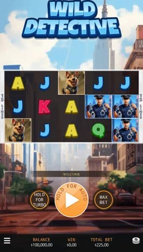 Wild Detective screenshot 1