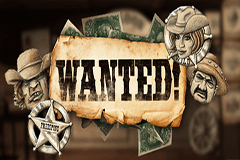 Wanted slot