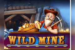 Wild Mine slot