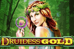 Druidess Gold slot