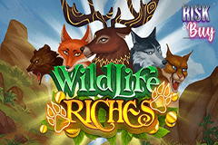 Wild Life Riches slot