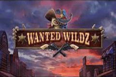 Wanted Wildz slot