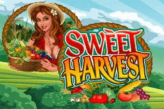 Sweet Harvest slot