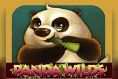 Panda Wilds slot