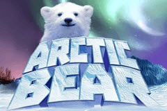Arctic Bear slot
