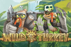 Wild Turkey slot