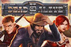Dead or Alive II slot