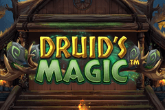 Druid's Magic slot