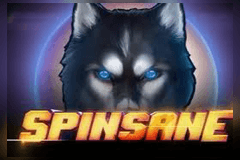 Spinsane slot