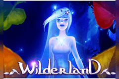 Wilderland slot