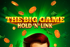 The Big Game Hold N Link slot