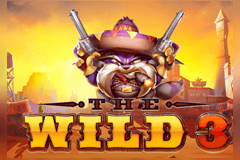 The Wild 3 slot