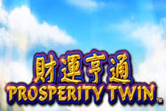 Prosperity Twin slot