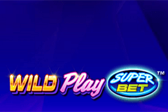 Wild Play Super Bet slot