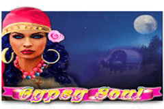 Gypsy Soul slot