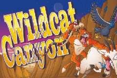 Wildcat Canyon slot