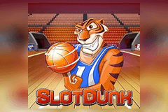 Slot Dunk slot
