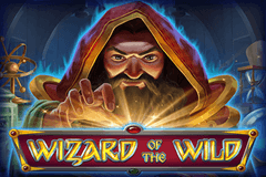Wizard of the Wild slot