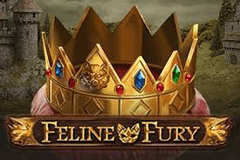 Feline Fury slot