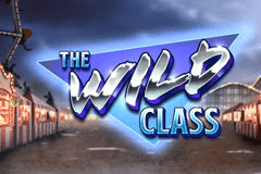 The Wild Class slot