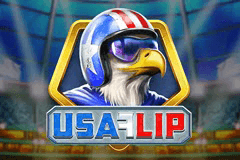 USA Flip slot