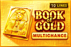 Book of Gold Multichance slot