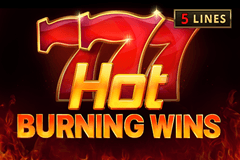 Hot Burning Wins slot