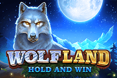 Wolf Land Hold and Win slot
