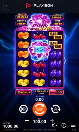 Pink Clovers XXL: Hold and Win screenshot 1