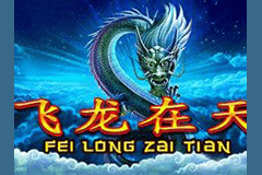Fei Long Zai Tian slot