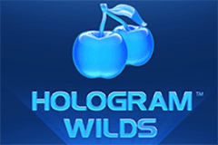 Hologram Wilds slot