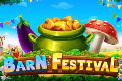 Barn Festival slot
